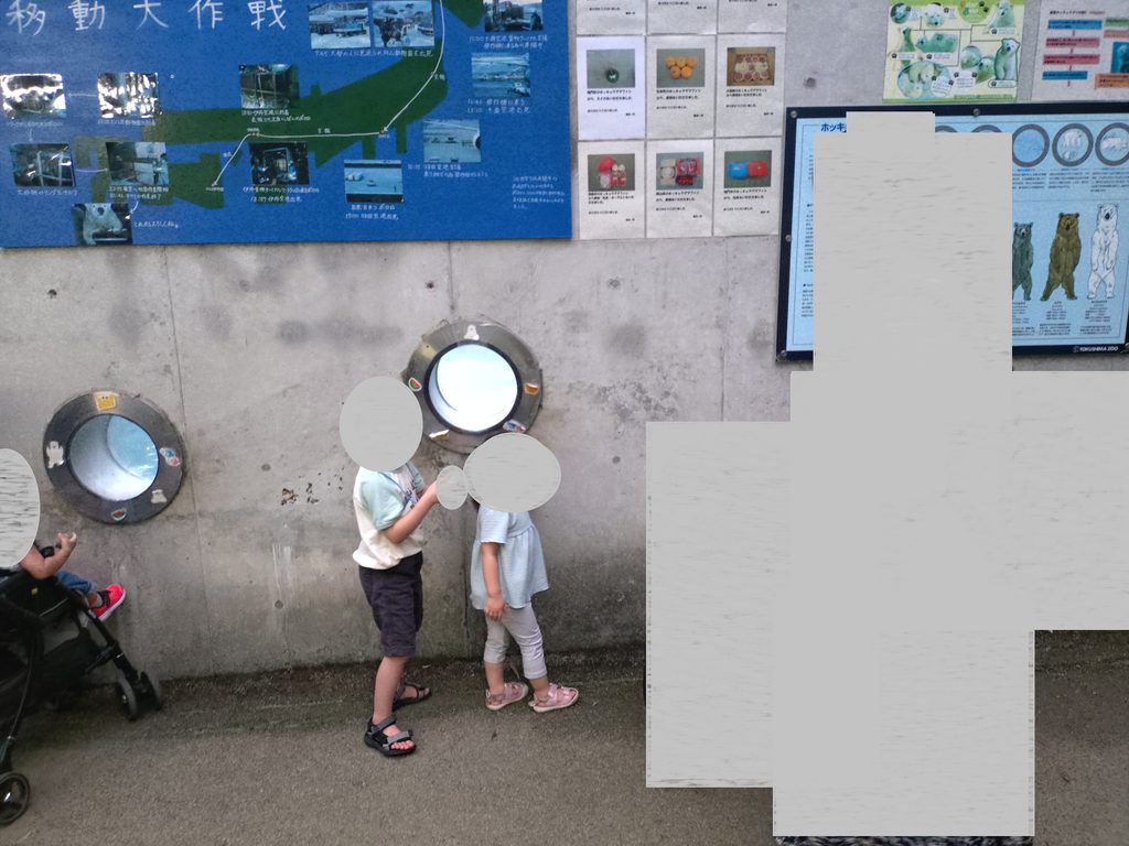 ホッキョクグマのポロロエリア。子供のサイズに設置された小窓から子供たちが覗いている