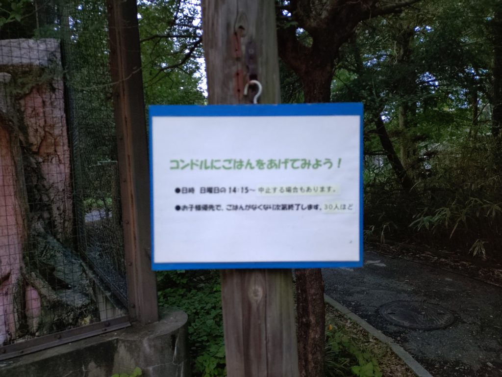 コンドルへのエサあげ体験紹介看板。※ただし、日曜日の14:15～定員30名ほどなので夜の動物園と関連させて体験することはできない