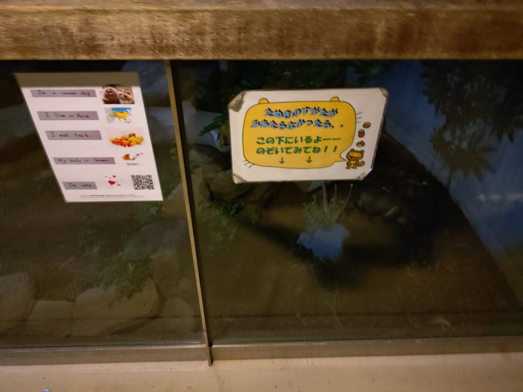 タヌキの姿が見えない場合はここにいるかも？という旨の表示。見つけづらく、お気に入りの場所がある模様