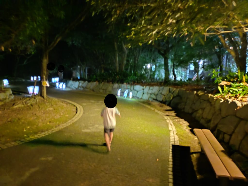 夜となり、道中のペットボトルライトの明りが映えてきた道を歩く息子
