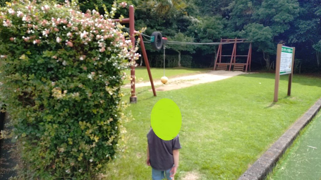 公園内にあるジップライン。昨今の公園では珍しく問題なく利用可能。