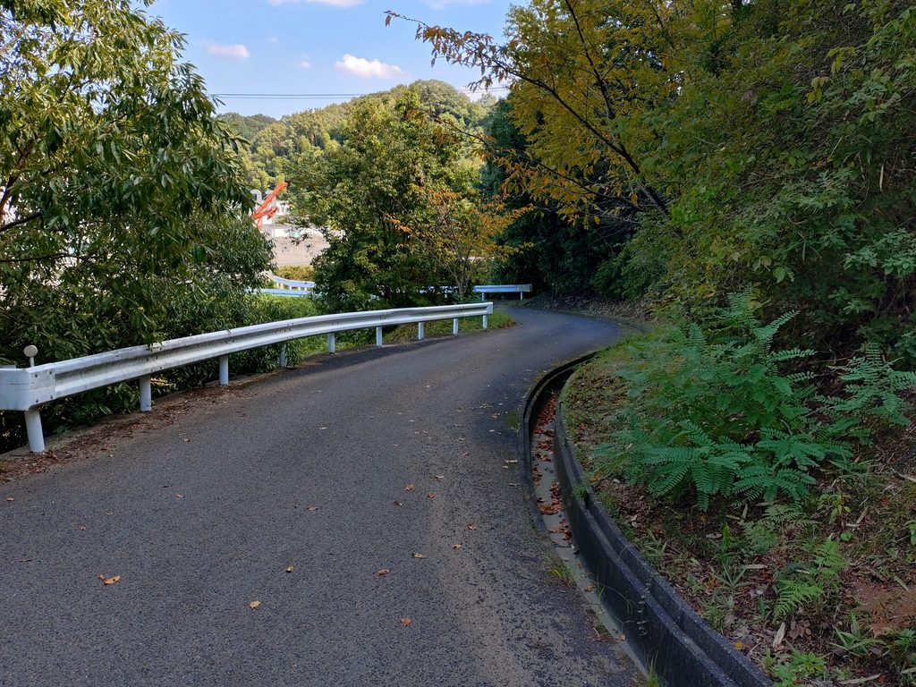 直近の分岐点から公園に至るまでの道。こちらも余裕をもって対向できるほどの広さはない。